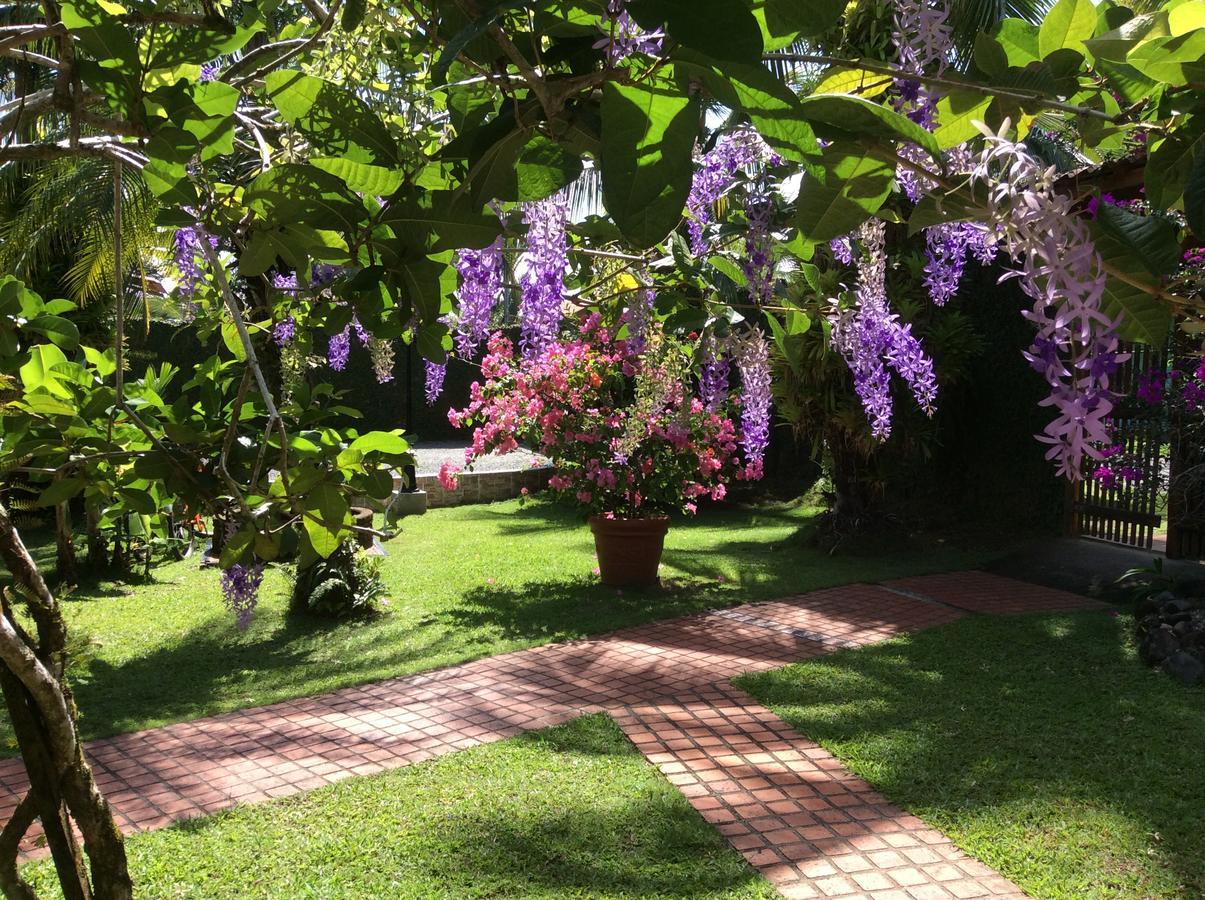 Posada Nena Caribe Puerto Viejo de Talamanca Exterior photo